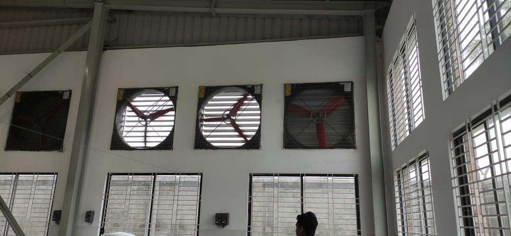 IMG_20210706_121259 (1)